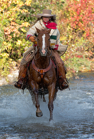 Wet Rider