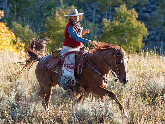 Rider and Aspen