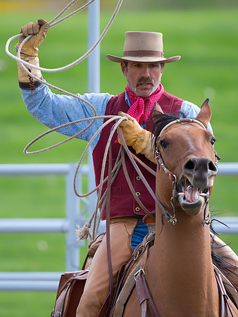 Steer roping