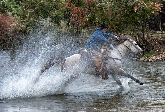 wet rider