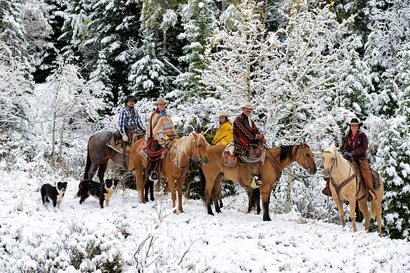 Rider in the snow