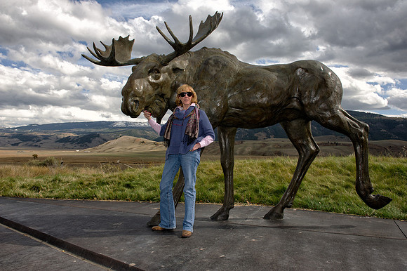 Julia's Moose
