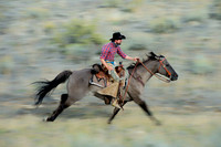 Joel galloping across the range