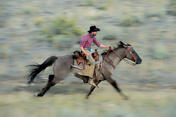 Joel galloping across the range