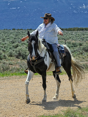 The Great American Horse Drive