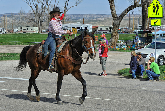 The Great American Horse Drive