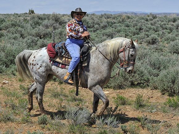 The Great American Horse Drive