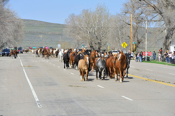 The Great American Horse Drive