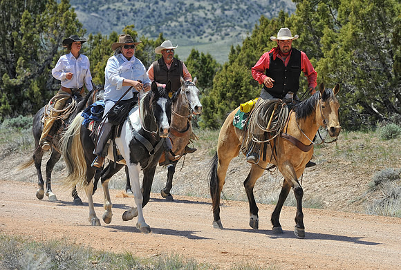 The Great American Horse Drive
