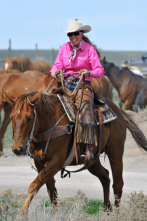The Great American Horse Drive