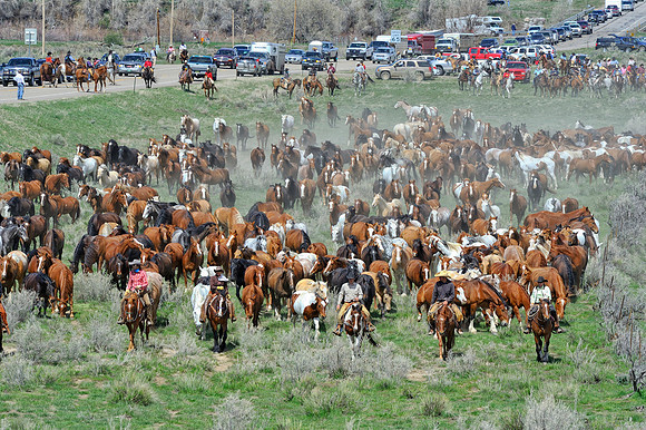 The Great American Horse Drive