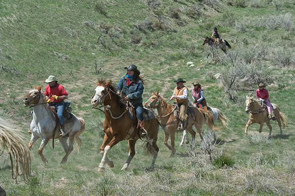 The Great American Horse Drive