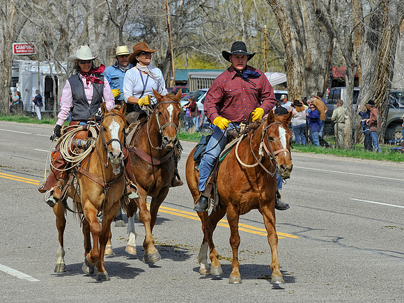 The Great American Horse Drive