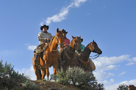The Great American Horse Drive