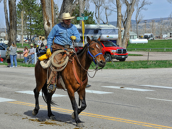 The Great American Horse Drive