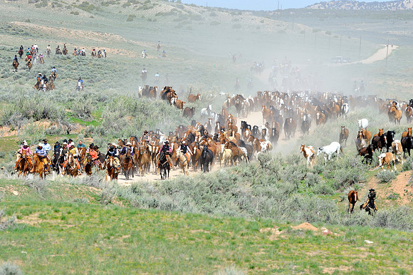 The Great American Horse Drive