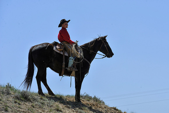 The Great American Horse Drive