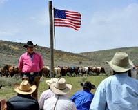 The Great American Horse Drive