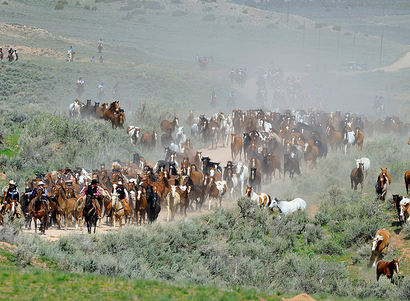 The Great American Horse Drive