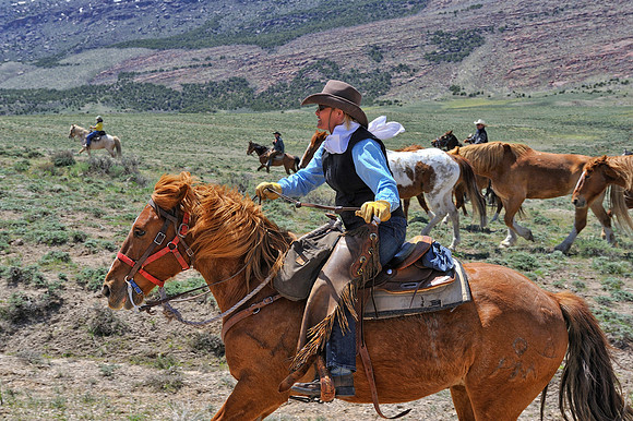 The Great American Horse Drive