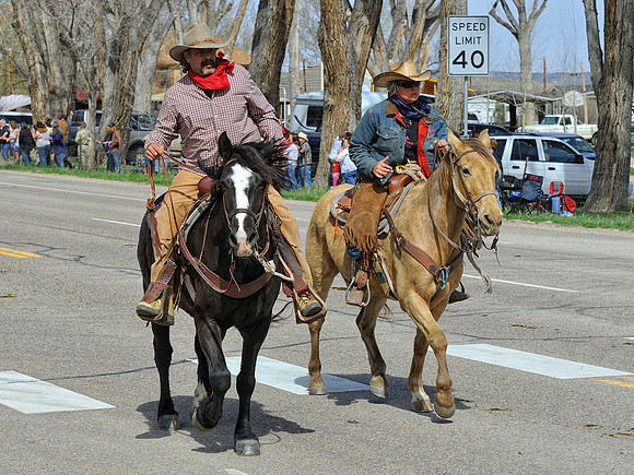 The Great American Horse Drive
