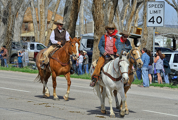 The Great American Horse Drive
