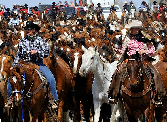 The Great American Horse Drive