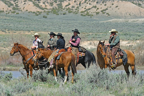 The Great American Horse Drive