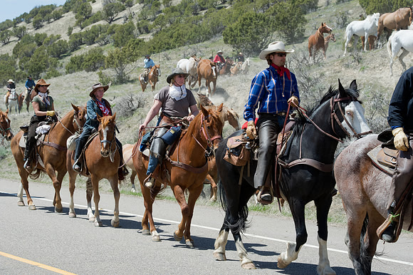 The Great American Horse Drive