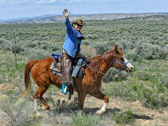 The Great American Horse Drive