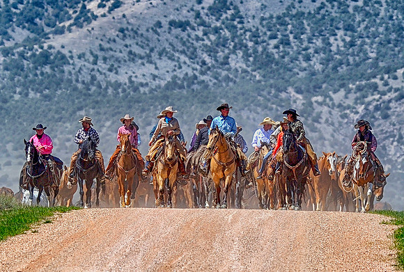 The Great American Horse Drive