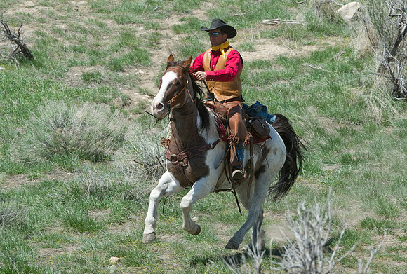 The Great American Horse Drive