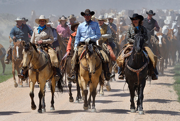 The Great American Horse Drive