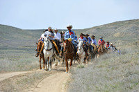 The Great American Horse Drive
