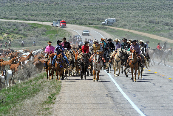 The Great American Horse Drive