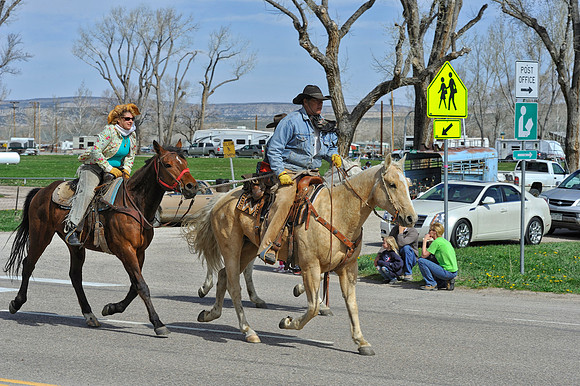 The Great American Horse Drive