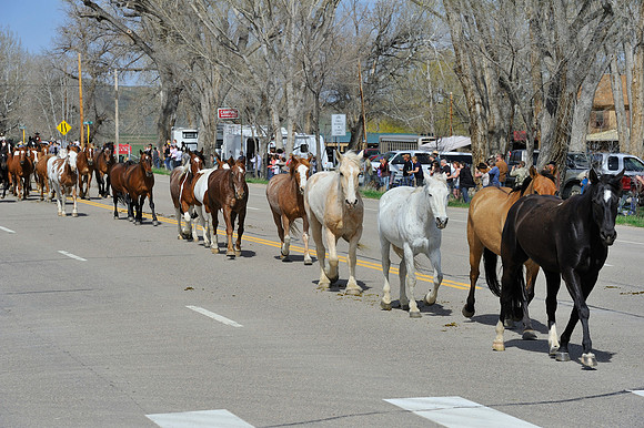 The Great American Horse Drive