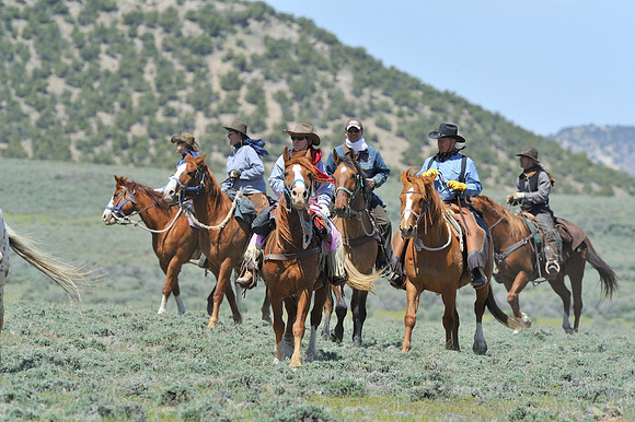 The Great American Horse Drive