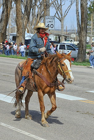 The Great American Horse Drive