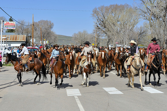 The Great American Horse Drive