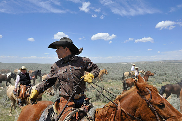 The Great American Horse Drive