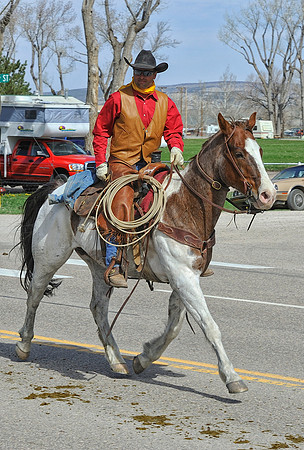 The Great American Horse Drive