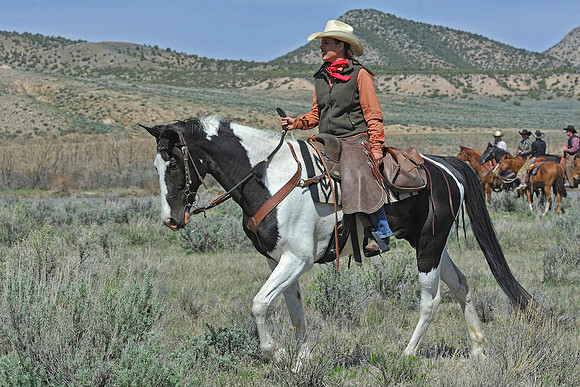 The Great American Horse Drive