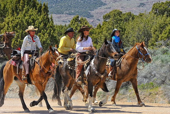 The Great American Horse Drive