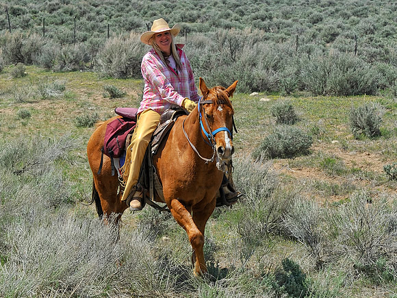 The Great American Horse Drive