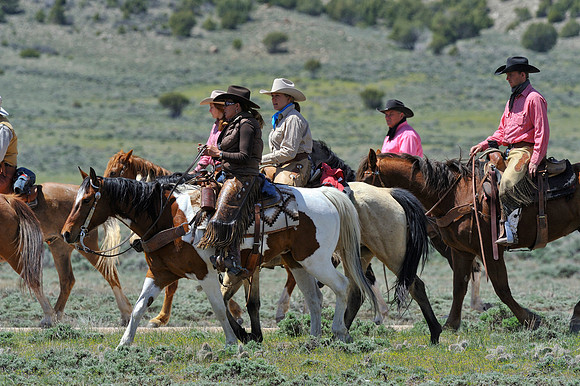 The Great American Horse Drive