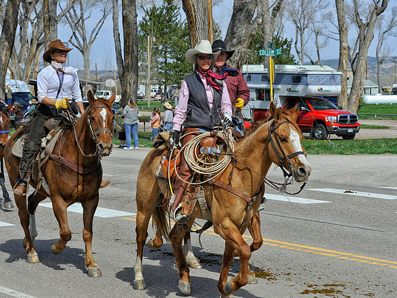 The Great American Horse Drive