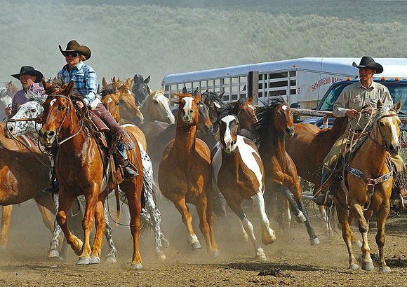 The Great American Horse Drive