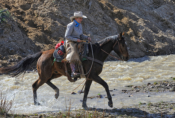 The Great American Horse Drive