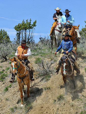 The Great American Horse Drive